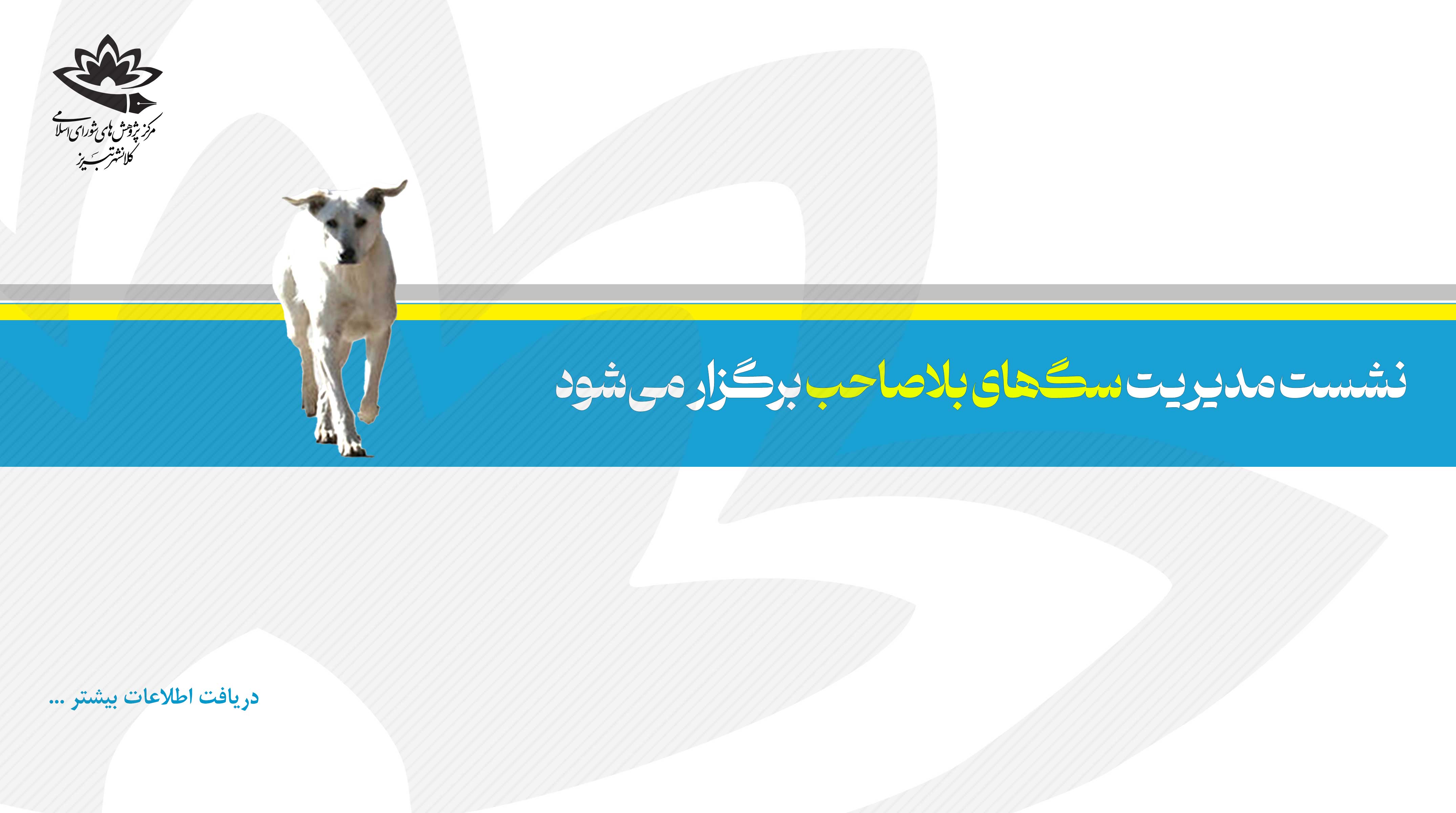 نشست مدیریت سگ‌های بلاصاحب